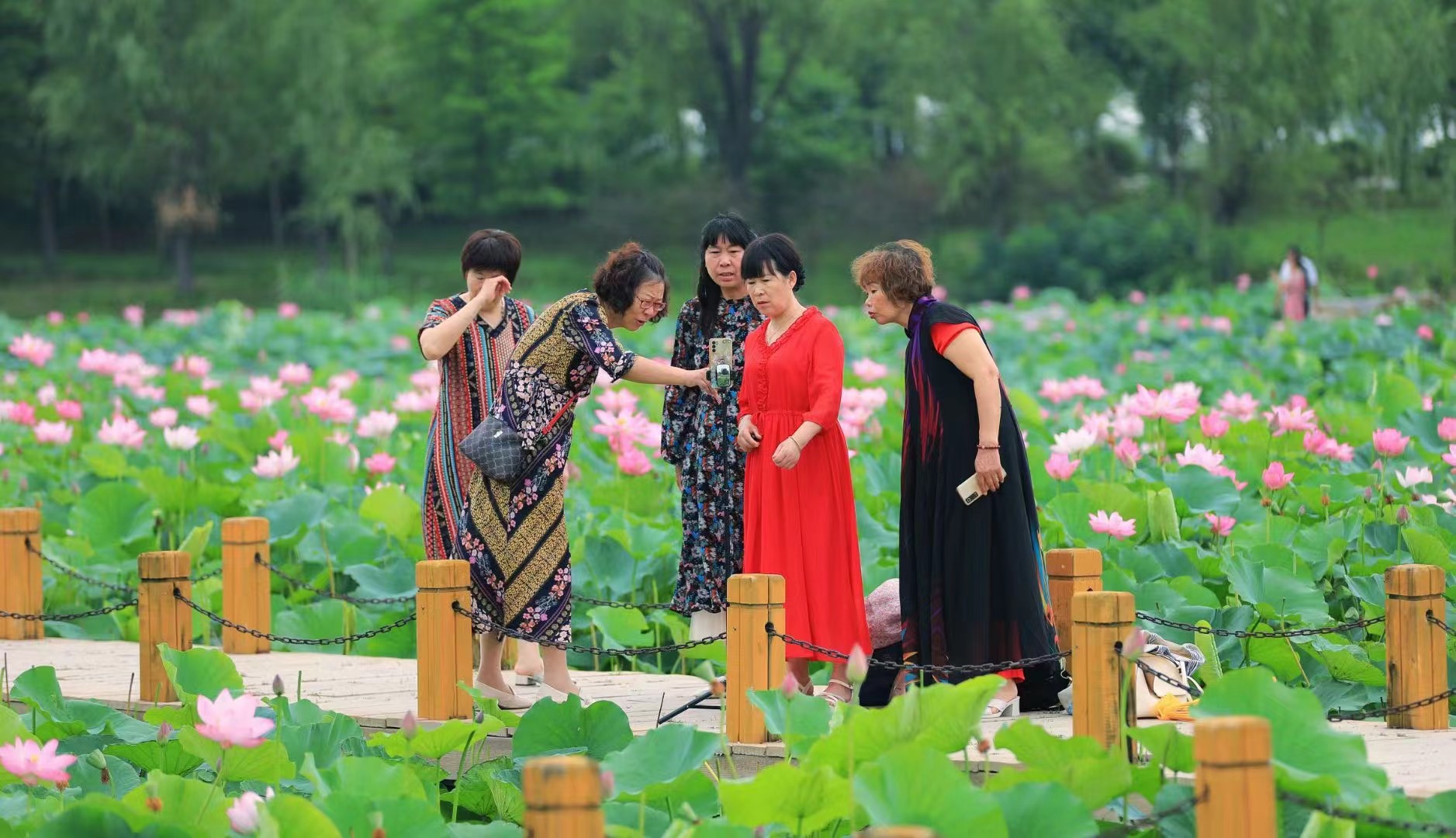 “荷”你有約